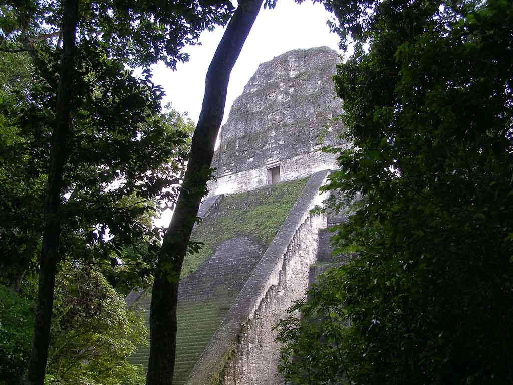800 - La citta' maya di Tikal/4 - Guatemala