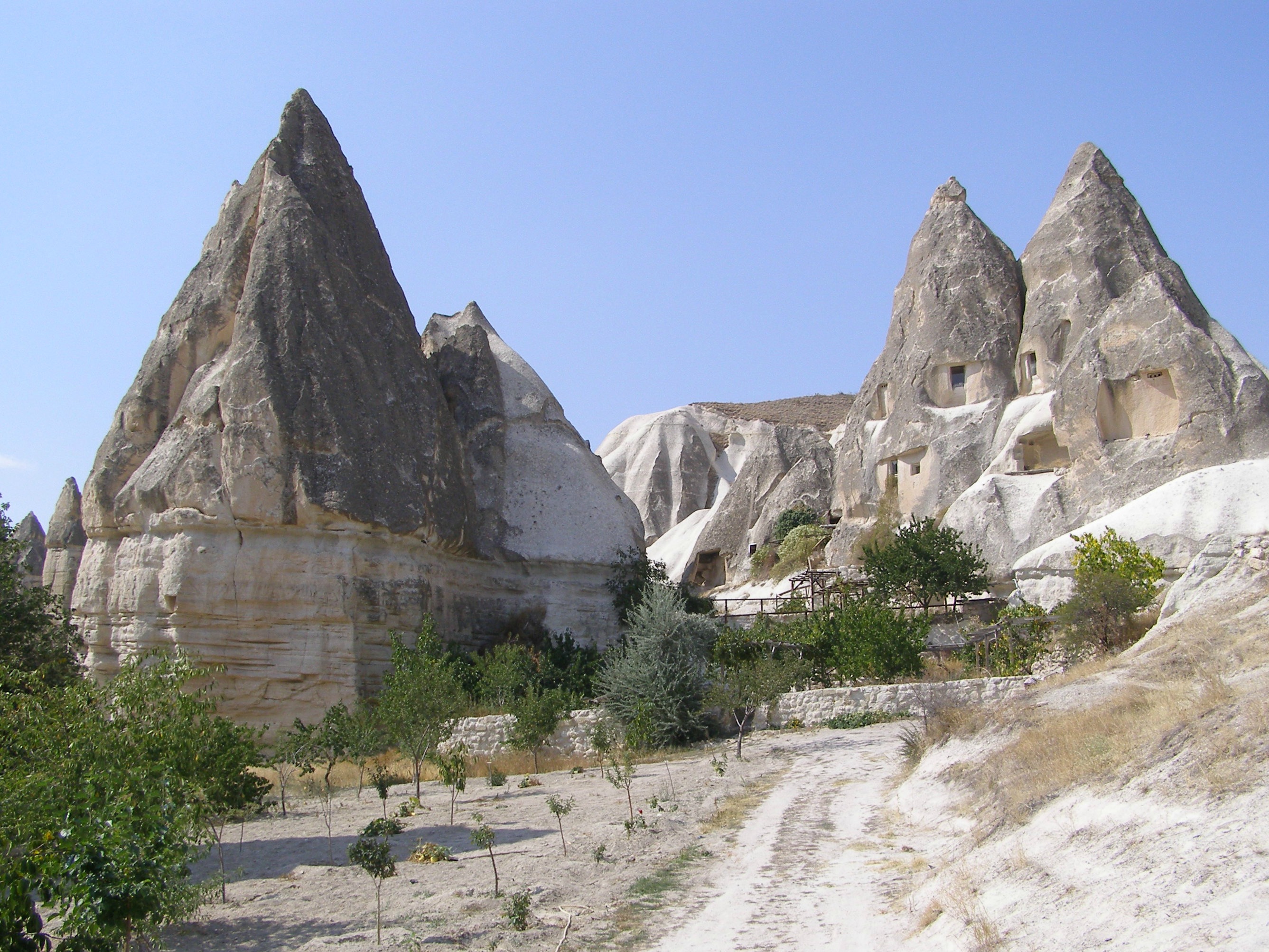 682 - Cappadocia Pasabag camini delle fate - Turchia