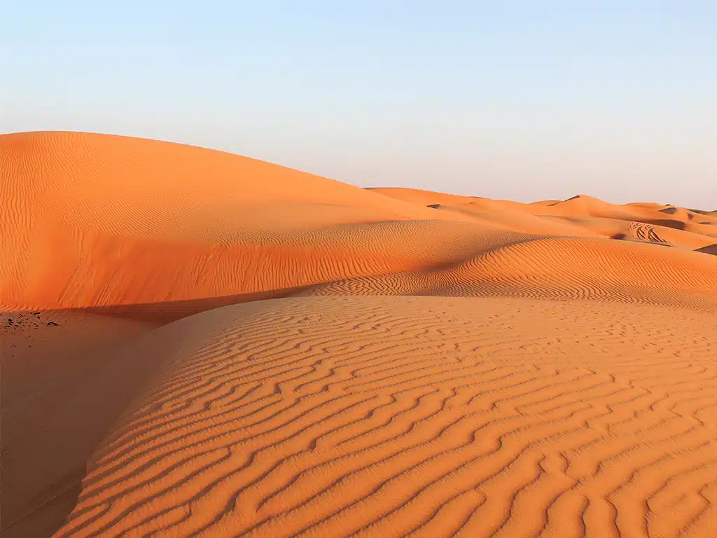 1058 - Deserto di Wahiba Sands - Oman