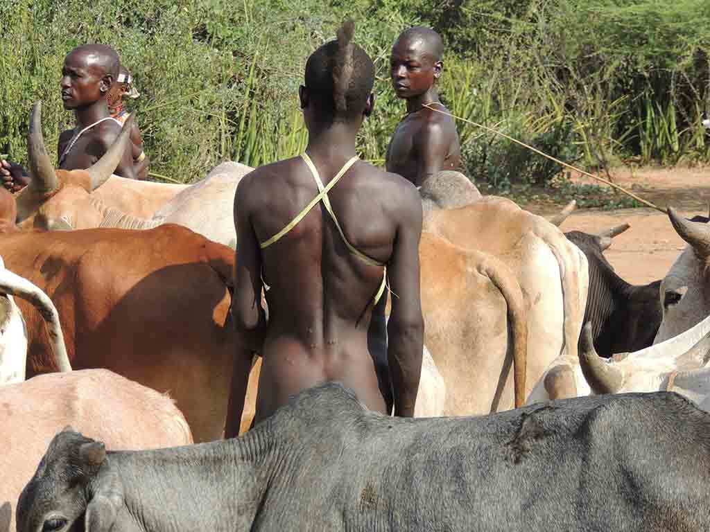 180 - Cerimonia del salto del toro etnia Hamer - Etiopia