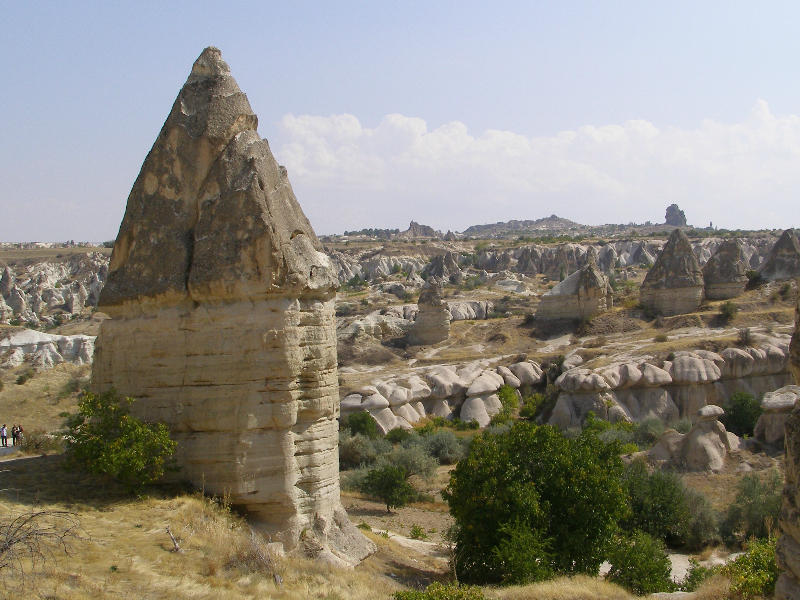 683 - Cappadocia Pasabag camini delle fate - Turchia