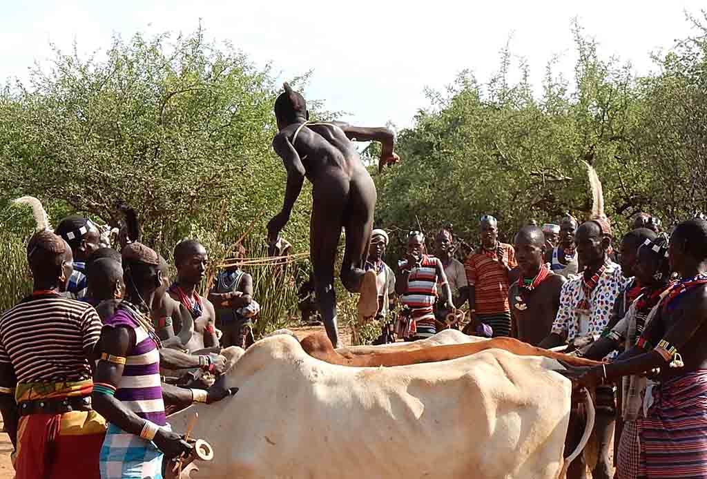181 - Cerimonia del salto del toro etnia Hamer - Etiopia
