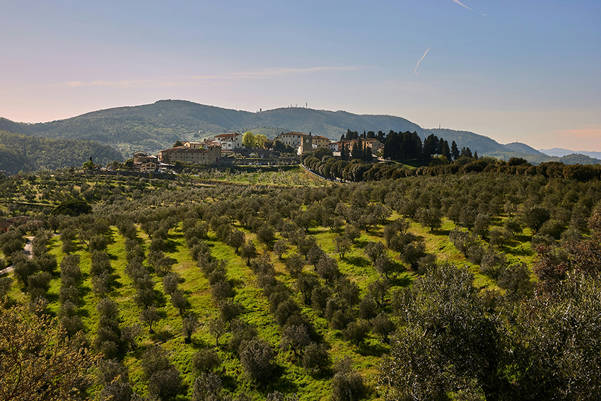 Toscana: Carmignano, uno scrigno di bellezze