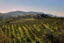 Toscana: Carmignano, uno scrigno di bellezze