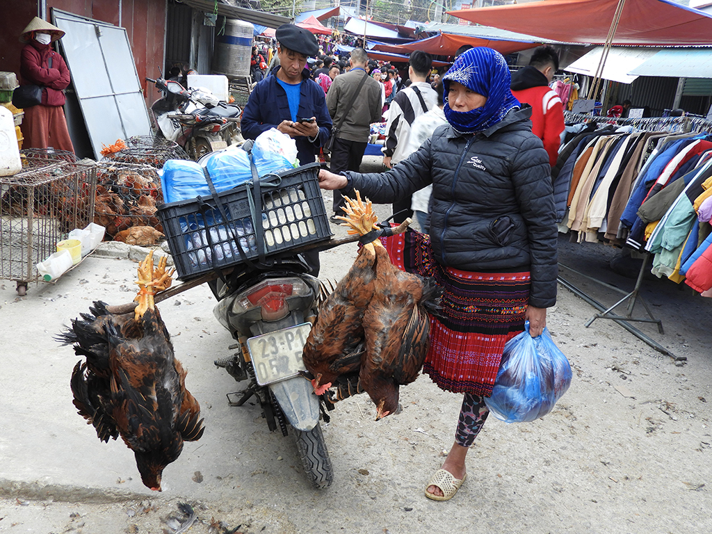 1300 - Mercato di Dong Van - Vietnam