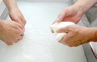 La mozzarella di bufala Dop al Sial di Parigi