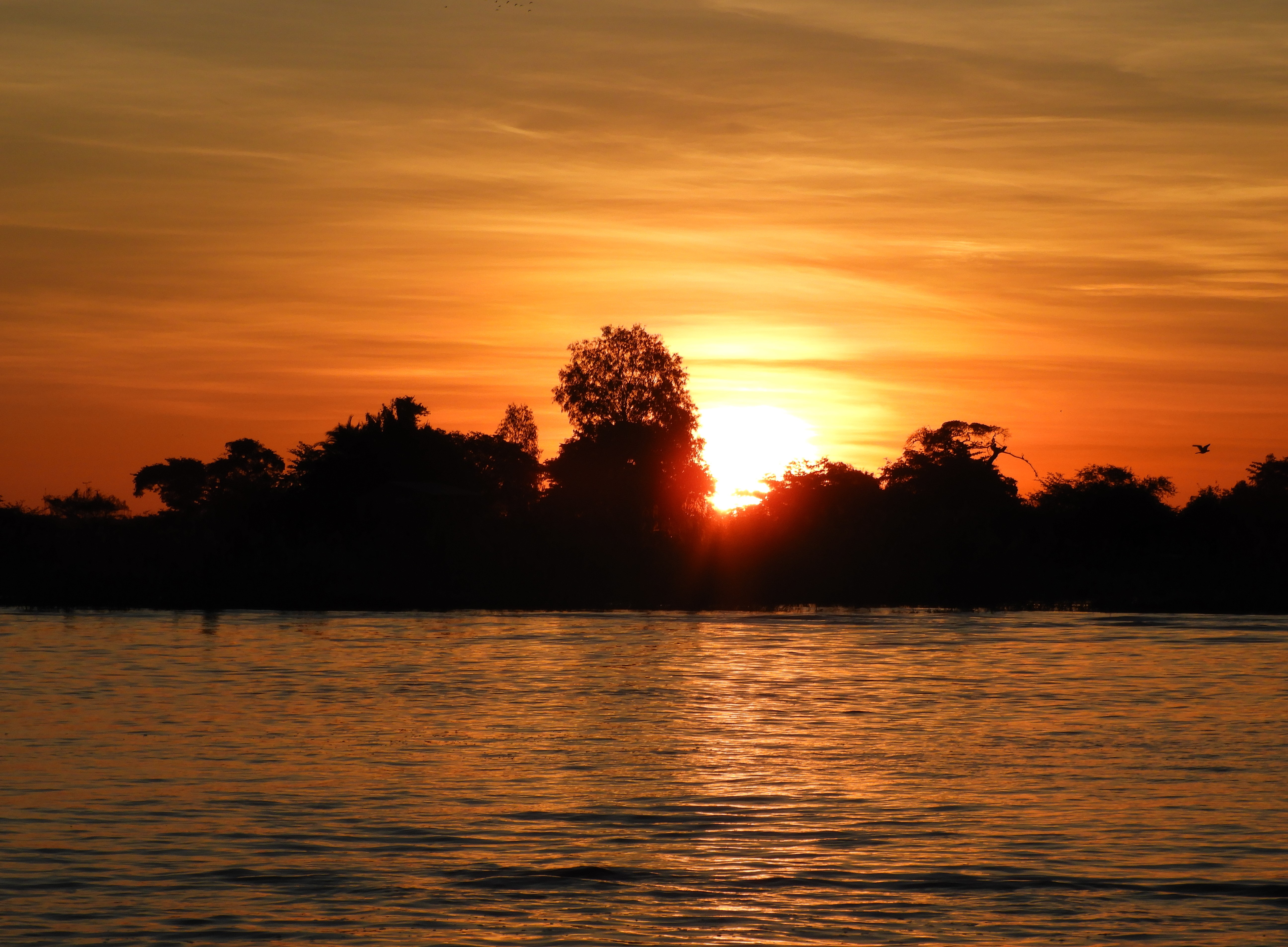 Tramonto sul fiume Zambesi - Botswana
