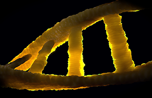 Ricerca, lâItalia al centro del progetto che creerÃ  il genoma di riferimento europeo