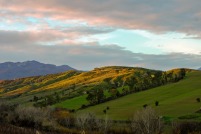 Arbereshe di Calabria tra storia e cultura