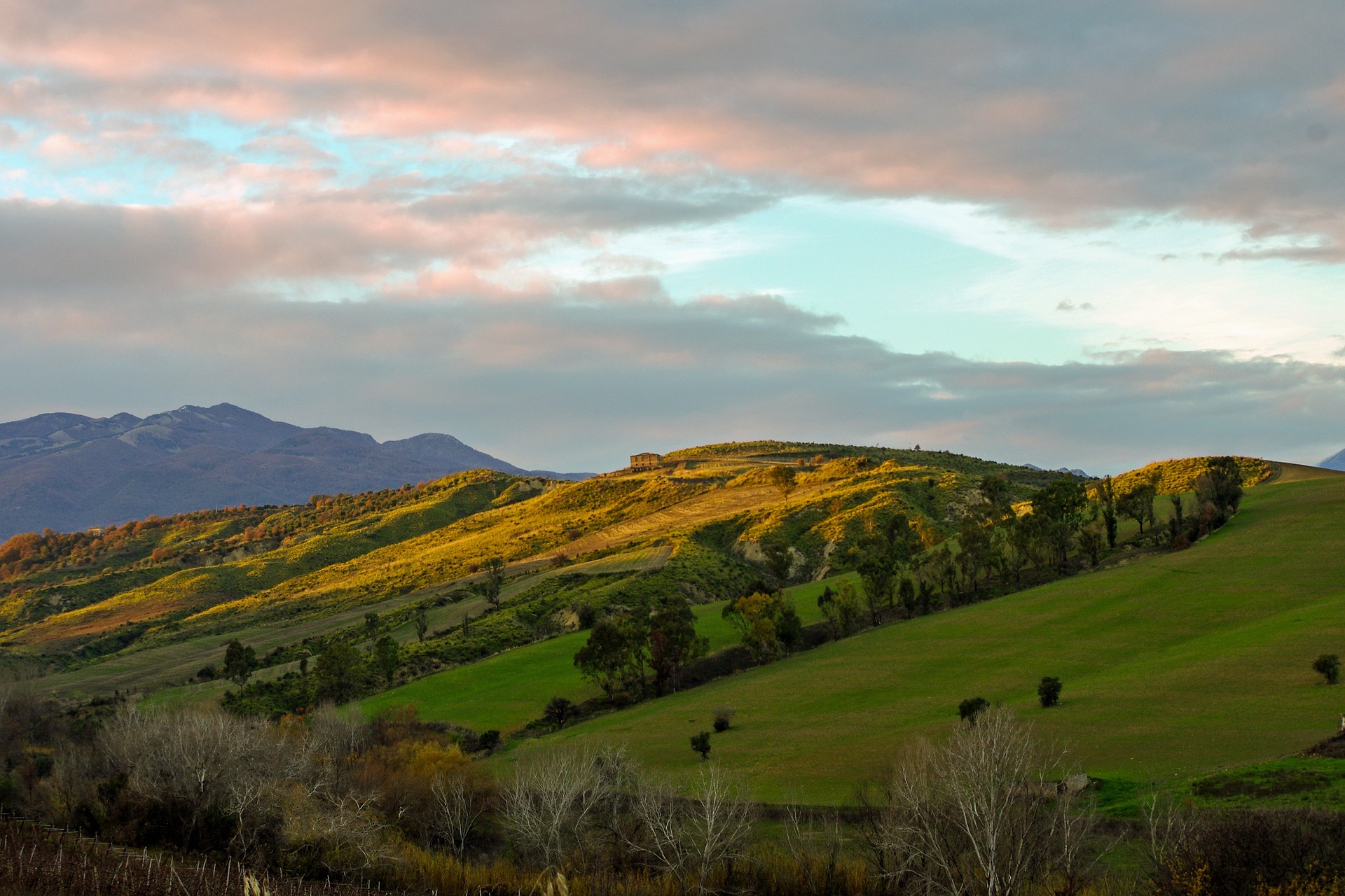 Arbereshe di Calabria tra storia e cultura