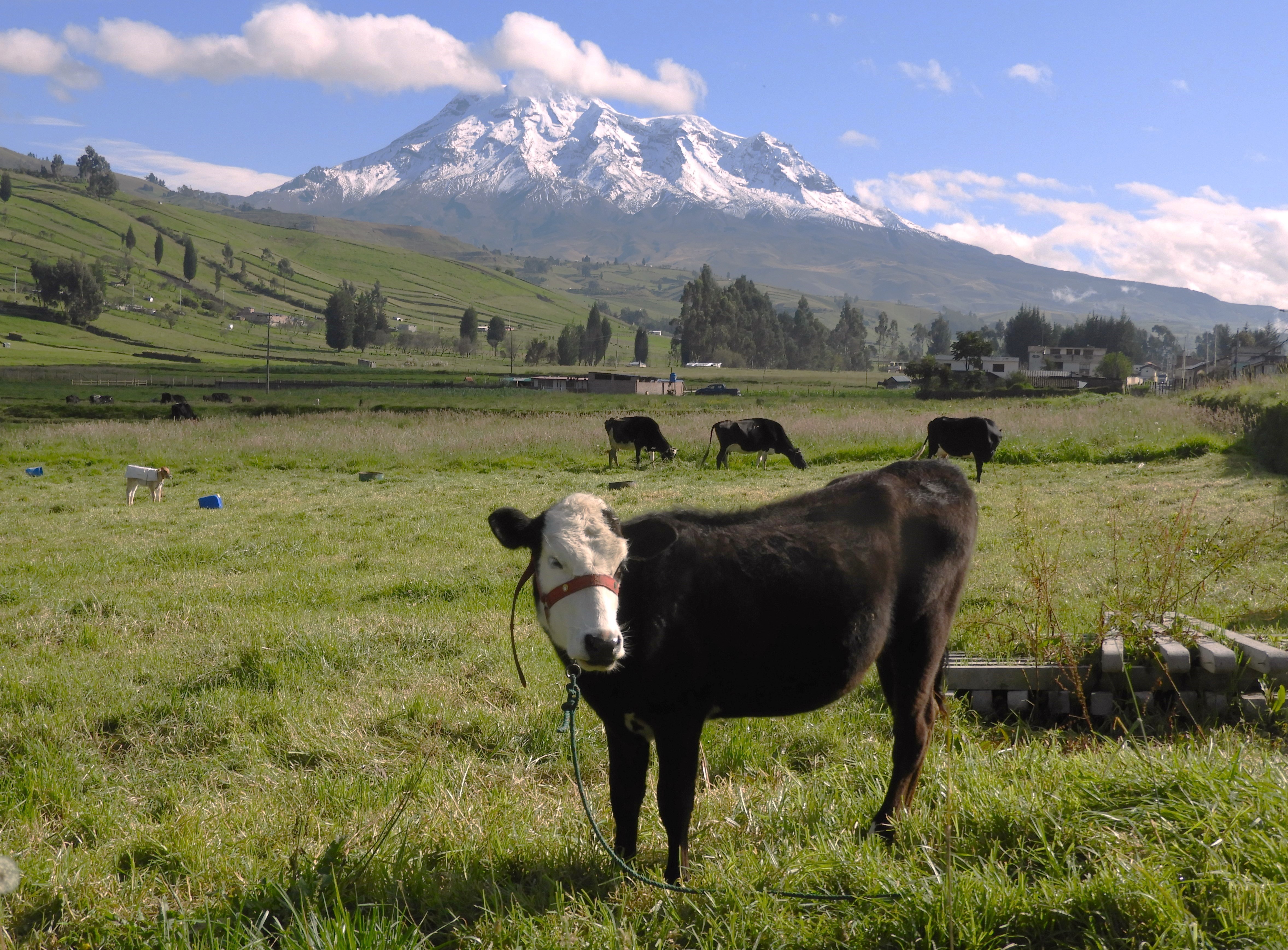 1281 - 013 - Panorama di Riobamba - Ecuador