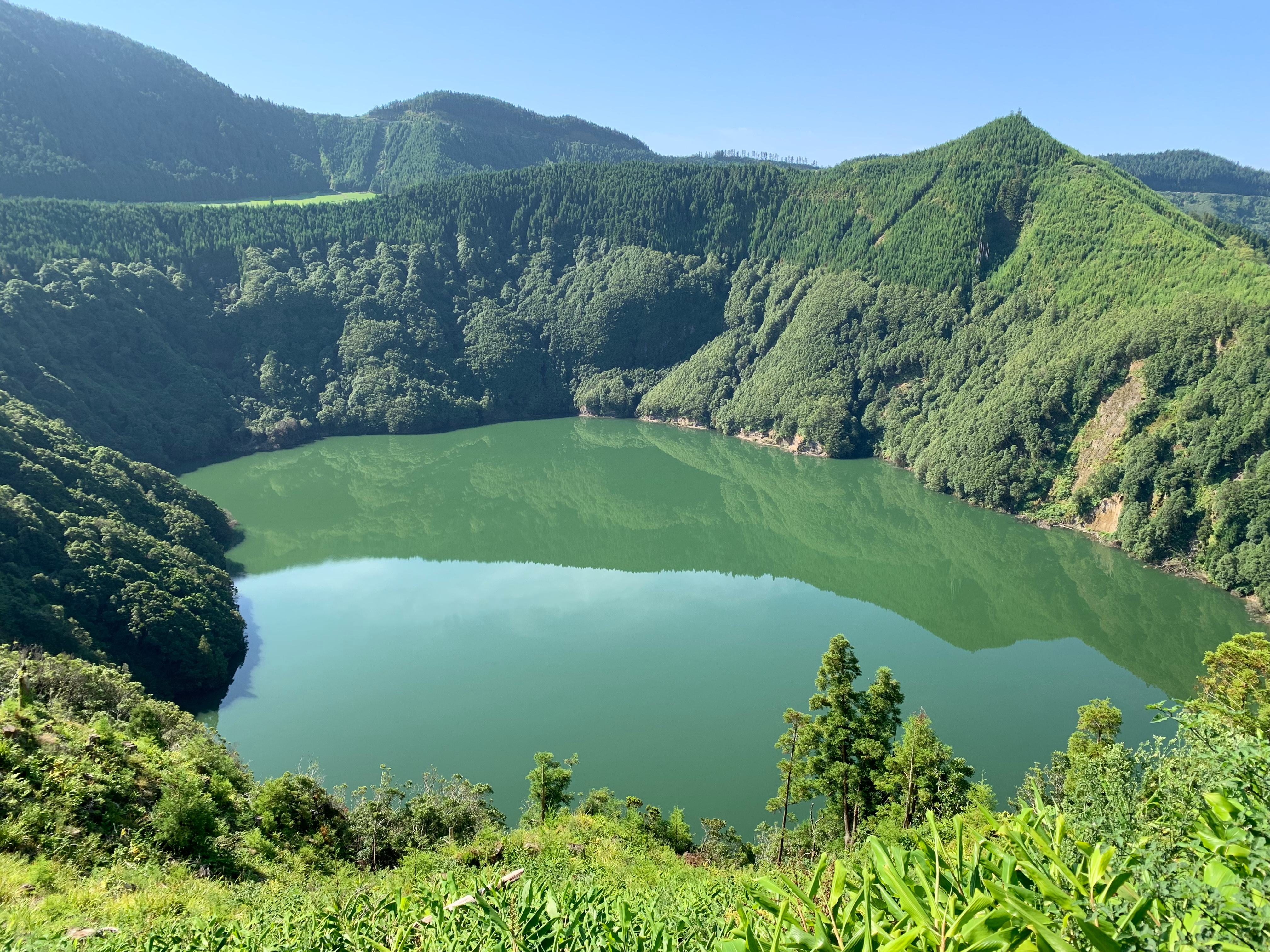 1329 - Vista del vulcano dal miradouro da vista do Rei nell'isola di Sao Miguel - Azzorre