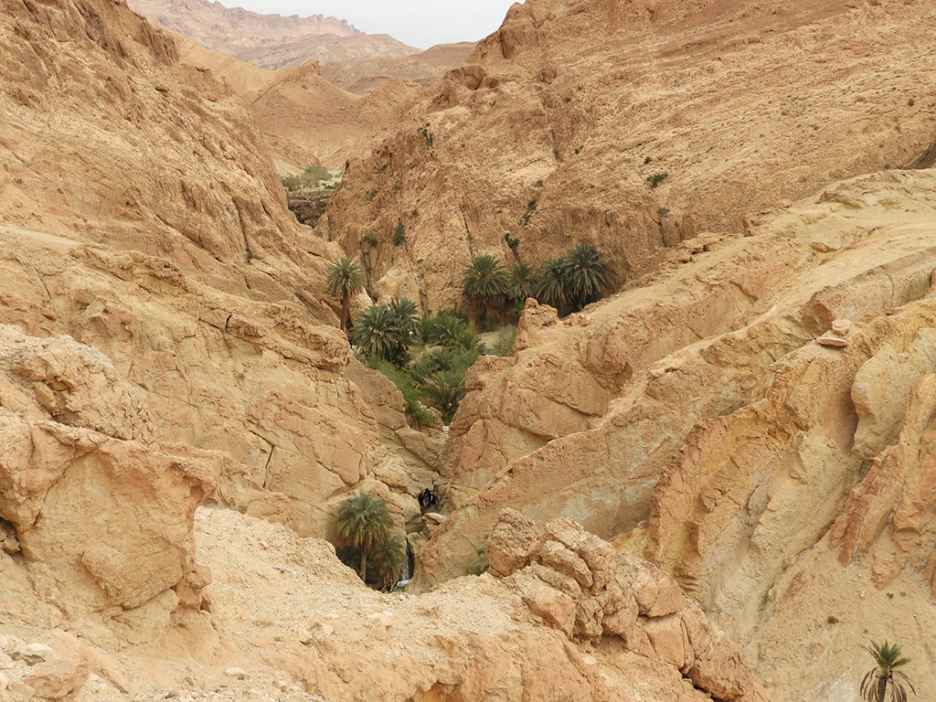 Canyon nell'oasi di montagna di Tamerza - Tunisia 