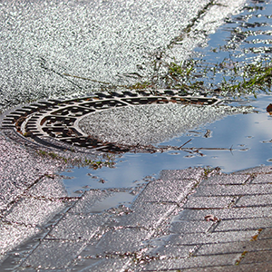 Bolognaâs canal struggle: a monumental cleanup after torrential rains