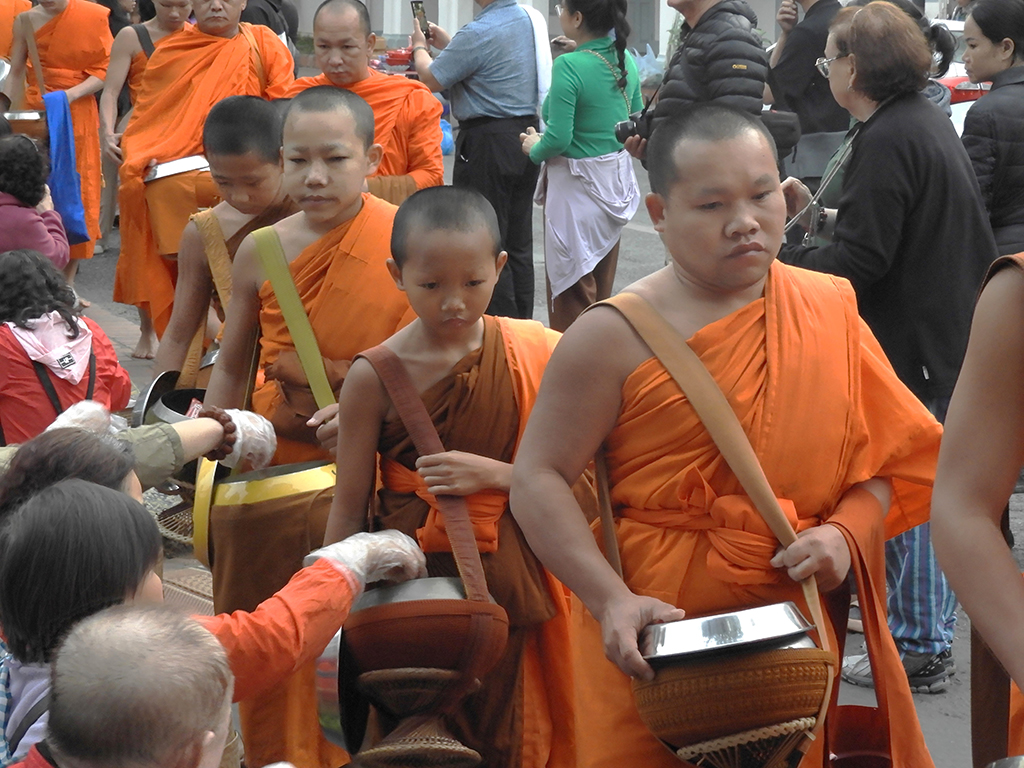 1279 - Questua del riso dei monaci buddisti a Luang Prabang 