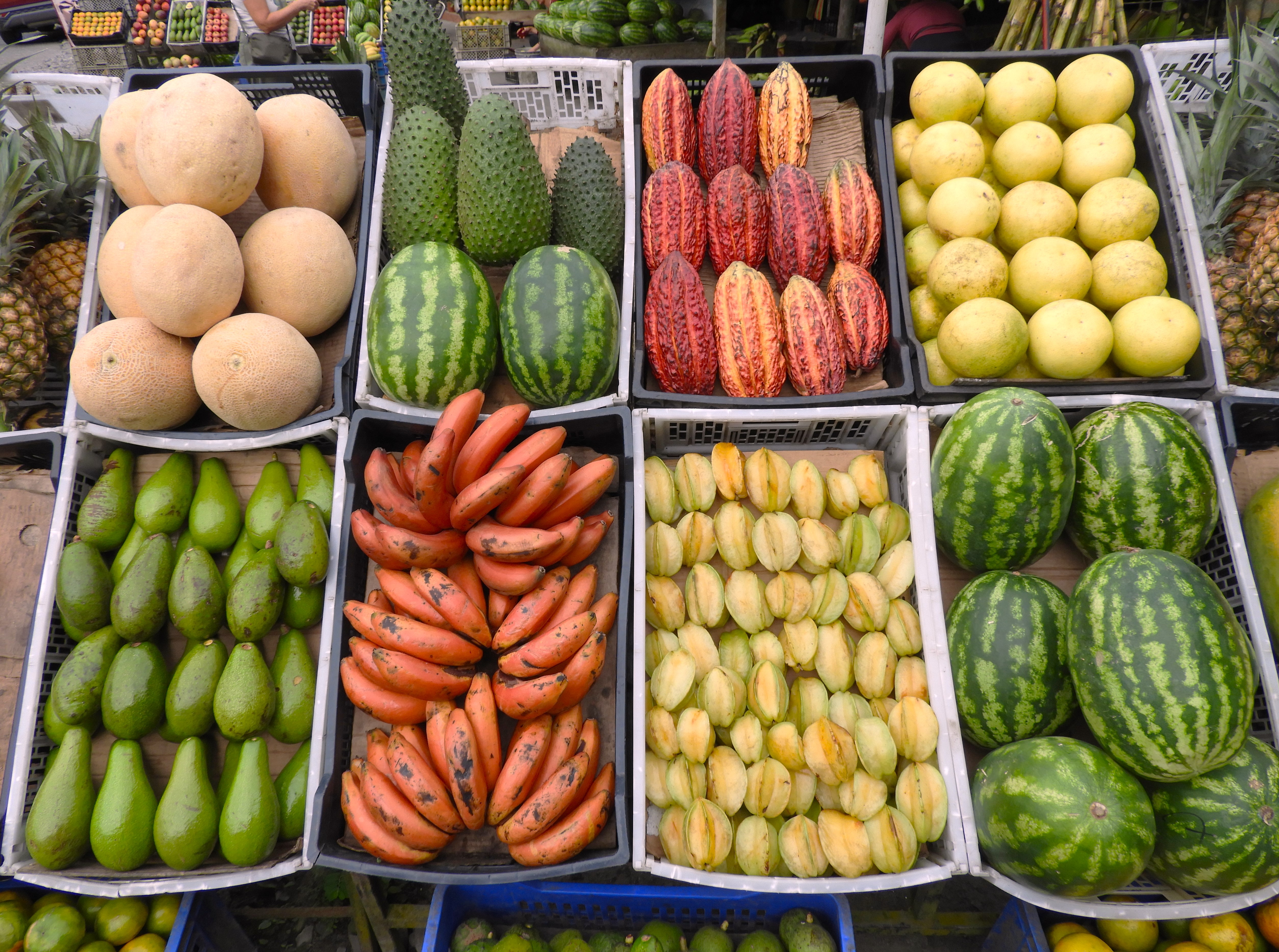 1291 - 023 - Frutta tipica - Ecuador