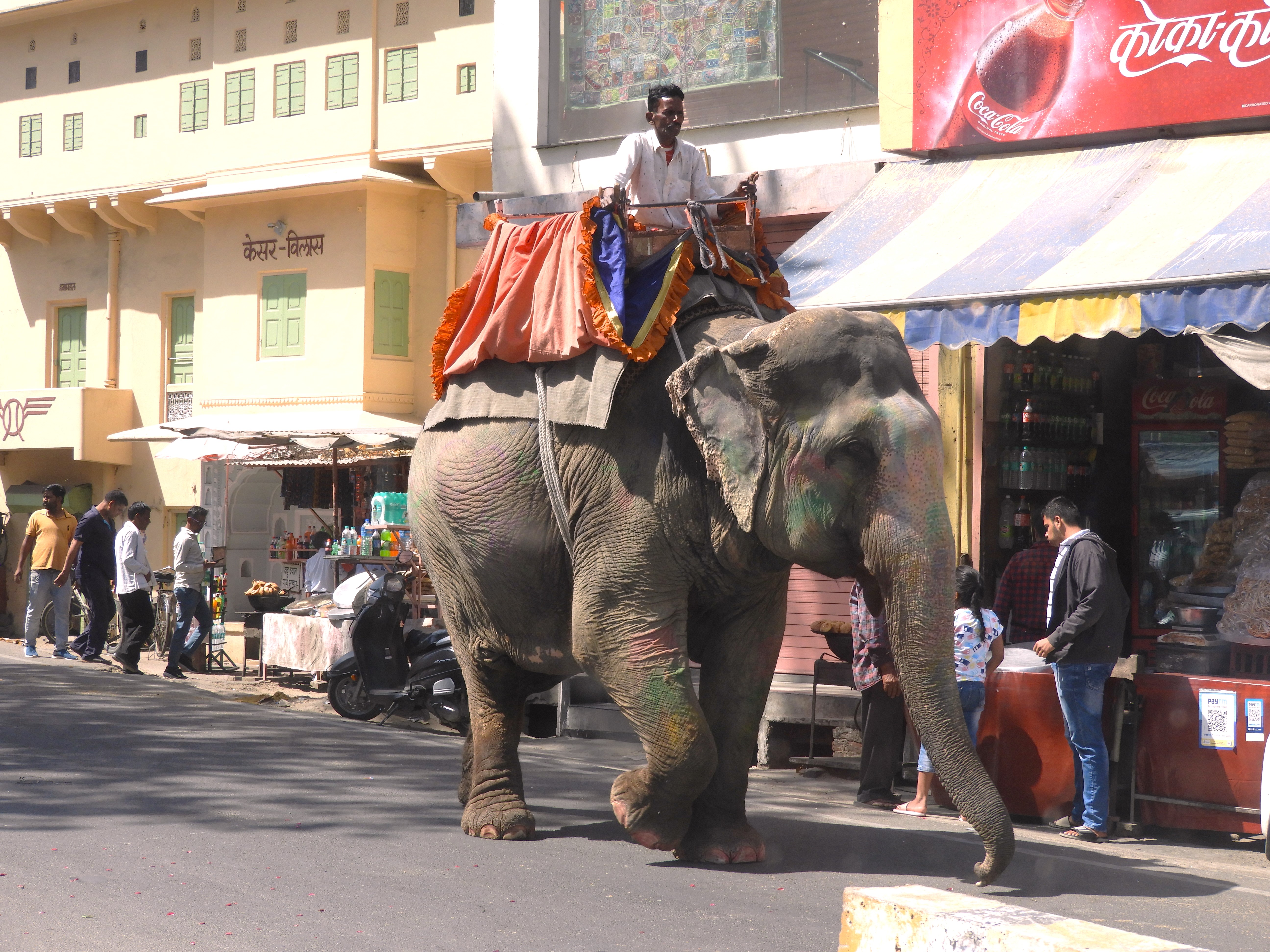 1230 - Mezzi di trasporto locali a Jaipur - India