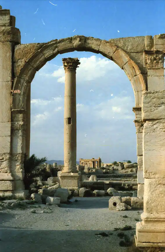 1142 - Palmira prima della sua distruzione - Siria