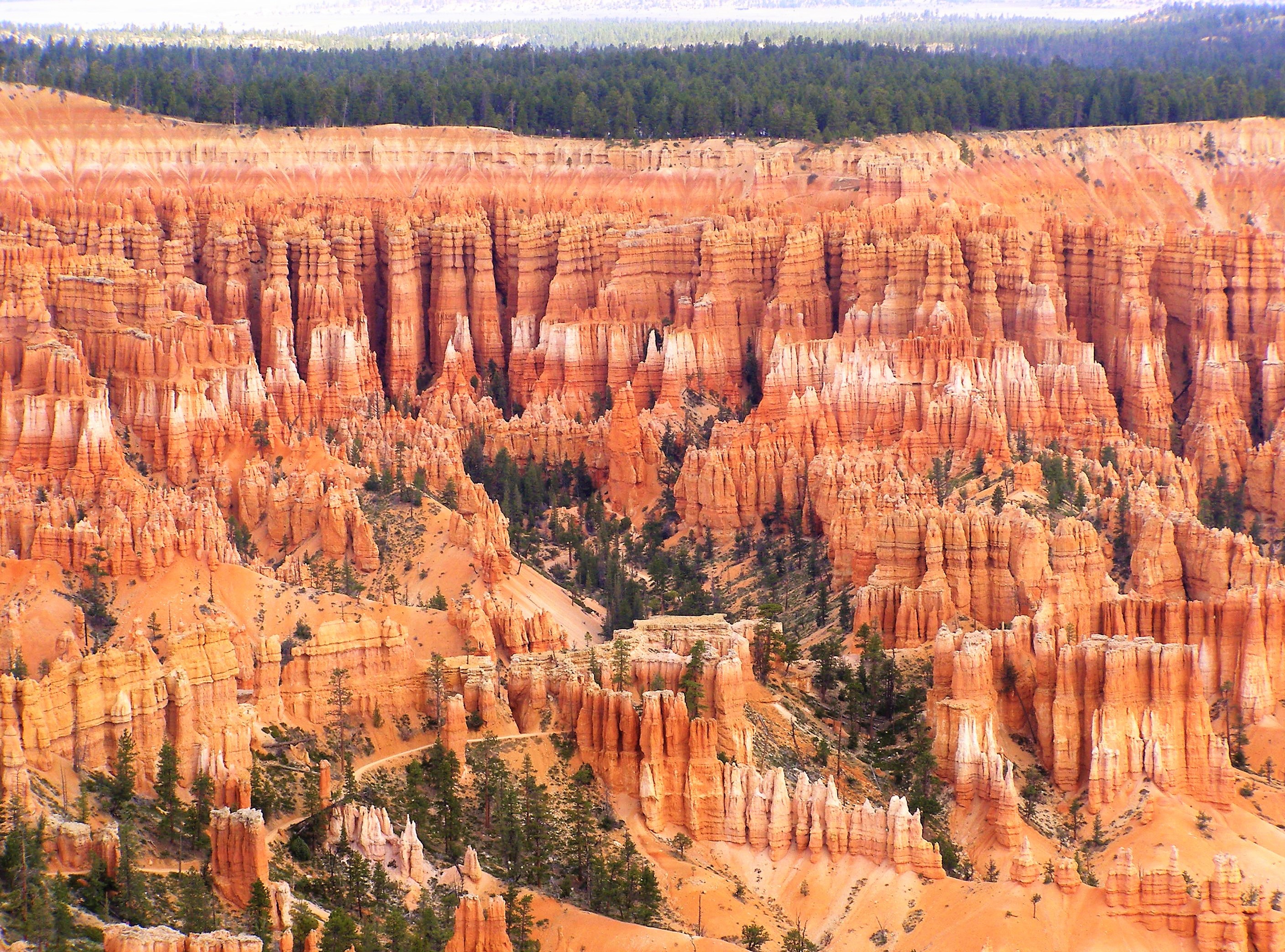 Bryce Canyon in Utah - USA