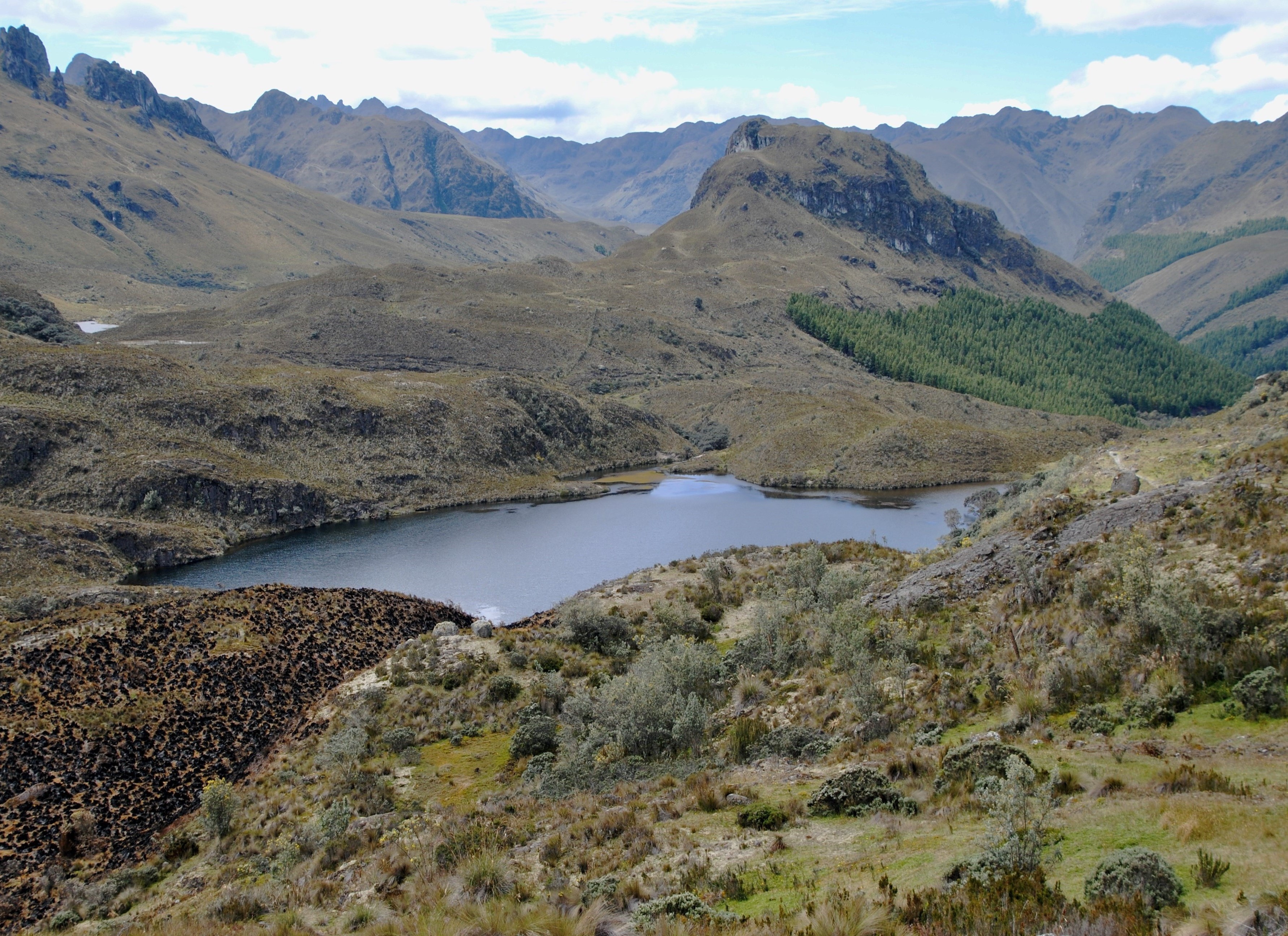 1288 - 020 - Parco Nazionale El Cajas - Ecuador