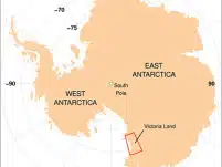 Scoperto in Antartide un nuovo crostaceo: un alleato per monitorare i cambiamenti globali