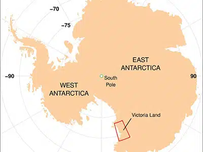 Scoperto in Antartide un nuovo crostaceo: un alleato per monitorare i cambiamenti globali