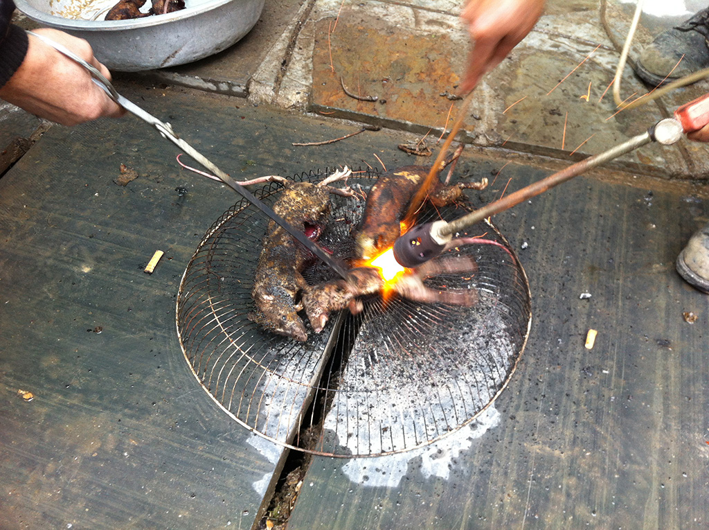 51 - Prelibatezza della cucina locale topo alla fiamma