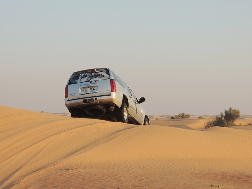 1031 - Tra le dune nel deserto di Dubai - Emirati Arabi Uniti