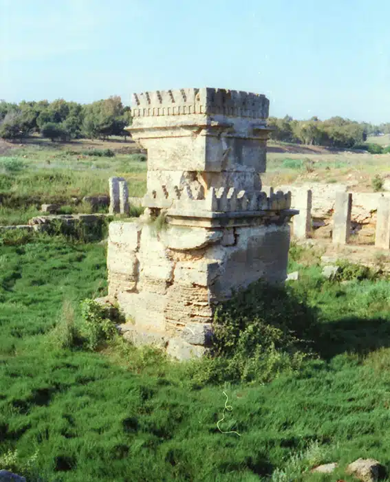 1149 - Amrit sito archeologico - Siria