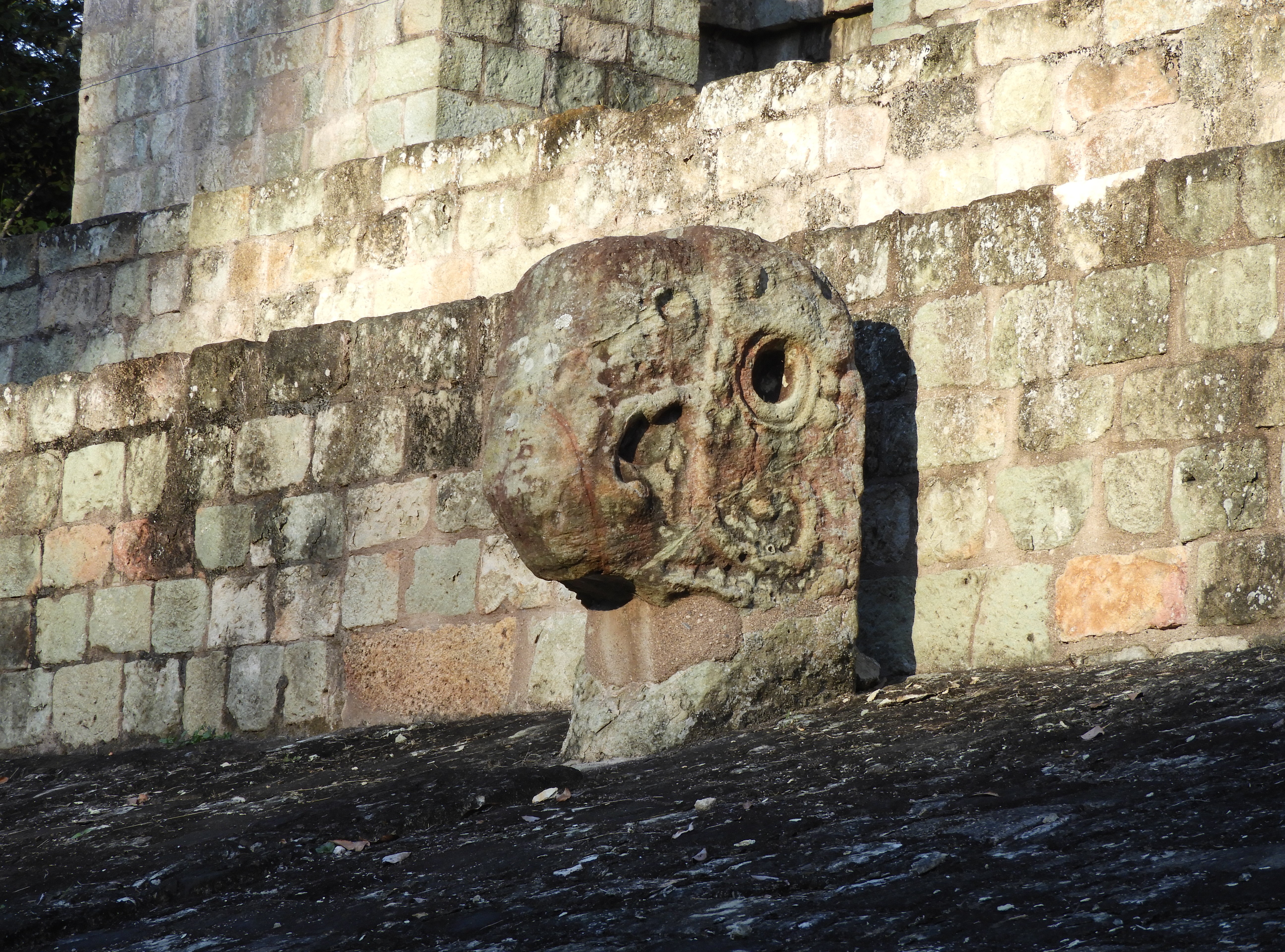 Sito archeologico Maya di Copan - Honduras