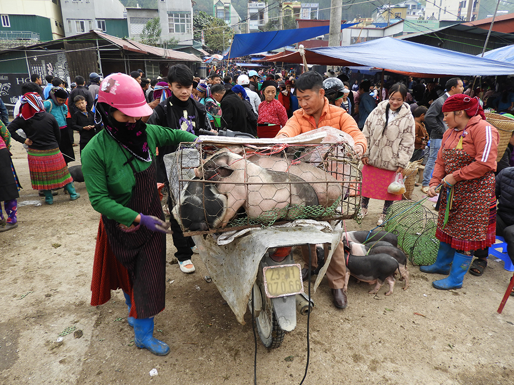 1301 - Mercato di Dong Van - Vietnam