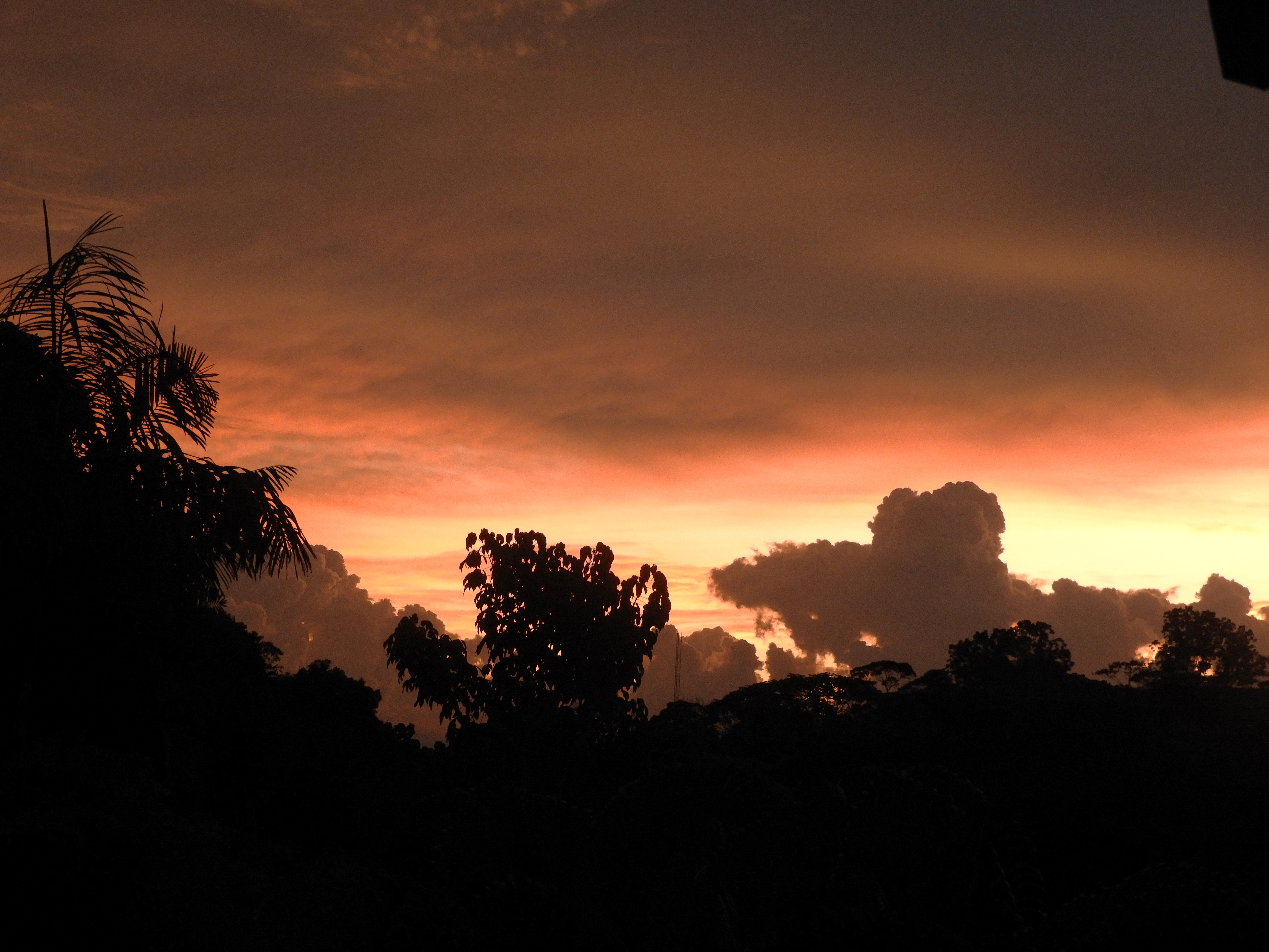 1278 - 010 - Tramonto sulla foresta amazzonica - Ecuador