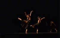 âDante Beyond Bordersâ: la Divina Commedia incontra la danza Bharatanatyam