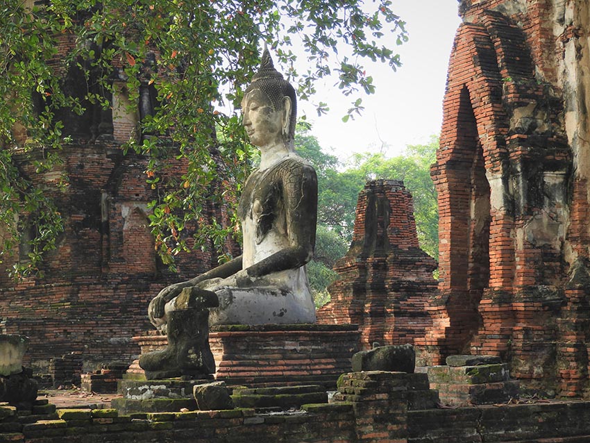 1087 - Tempio di Wat Mahathat a Ayutthaya - Thailandia