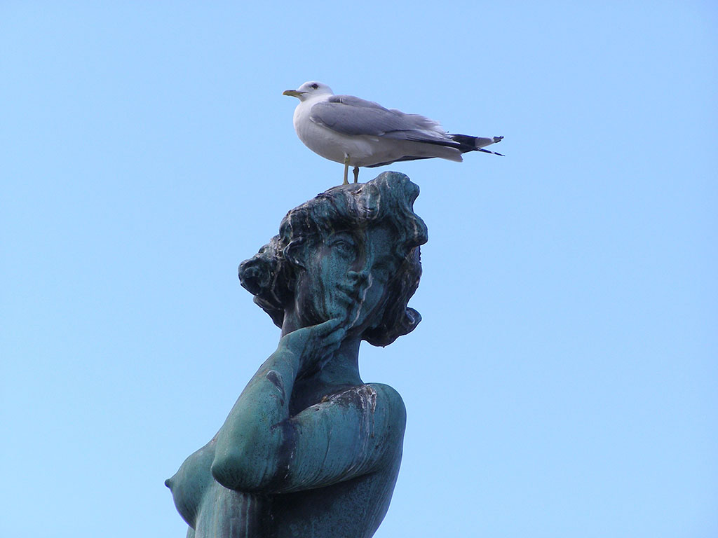 Statua di Havis Amanda nella piazza del Mercato a Helsinki - Finlandia