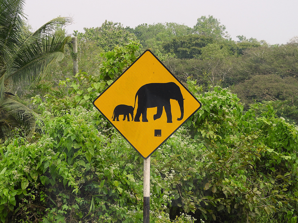 Cartello stradale - Sri Lanka