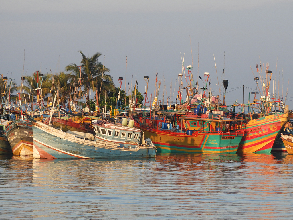 Barche di pescatori a Mirissa - Sri Lanka