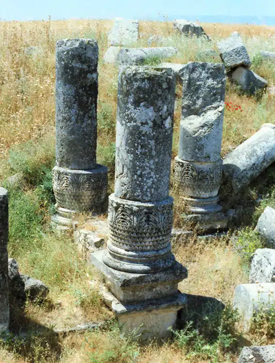 1154 - Ebla sito archeologico - Siria