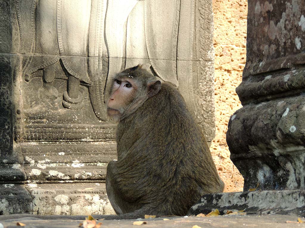 558 - Angkor Wat tempio Angkor Thom/3 - Cambogia