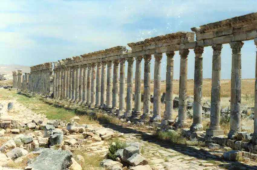 1150 - Apamea antiche rovine - Siria