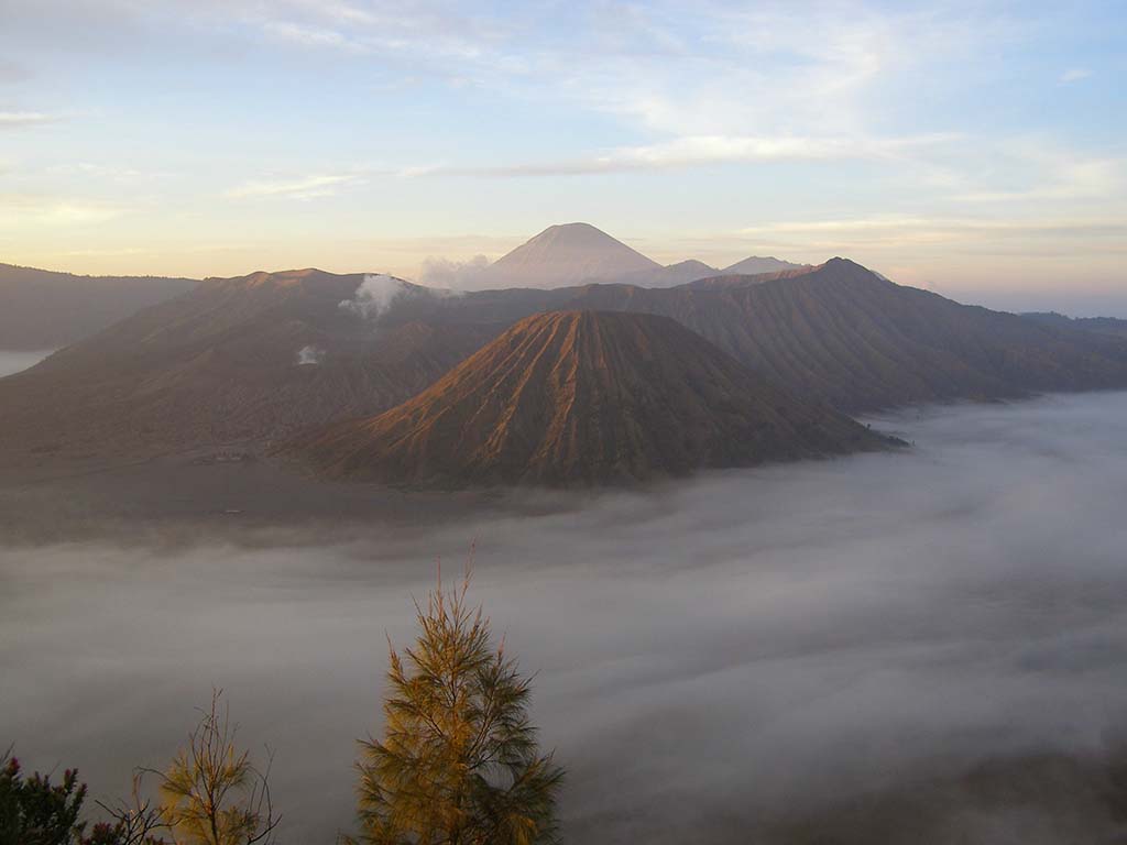 485 - Giava alba sulle pendici del vulcano Bromo