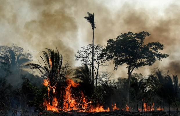 GLI INCENDI DEVASTANO <BR> LA FORESTA AMAZZONICA