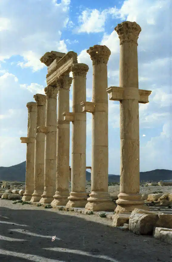 1137 - Palmira prima della sua distruzione - Siria