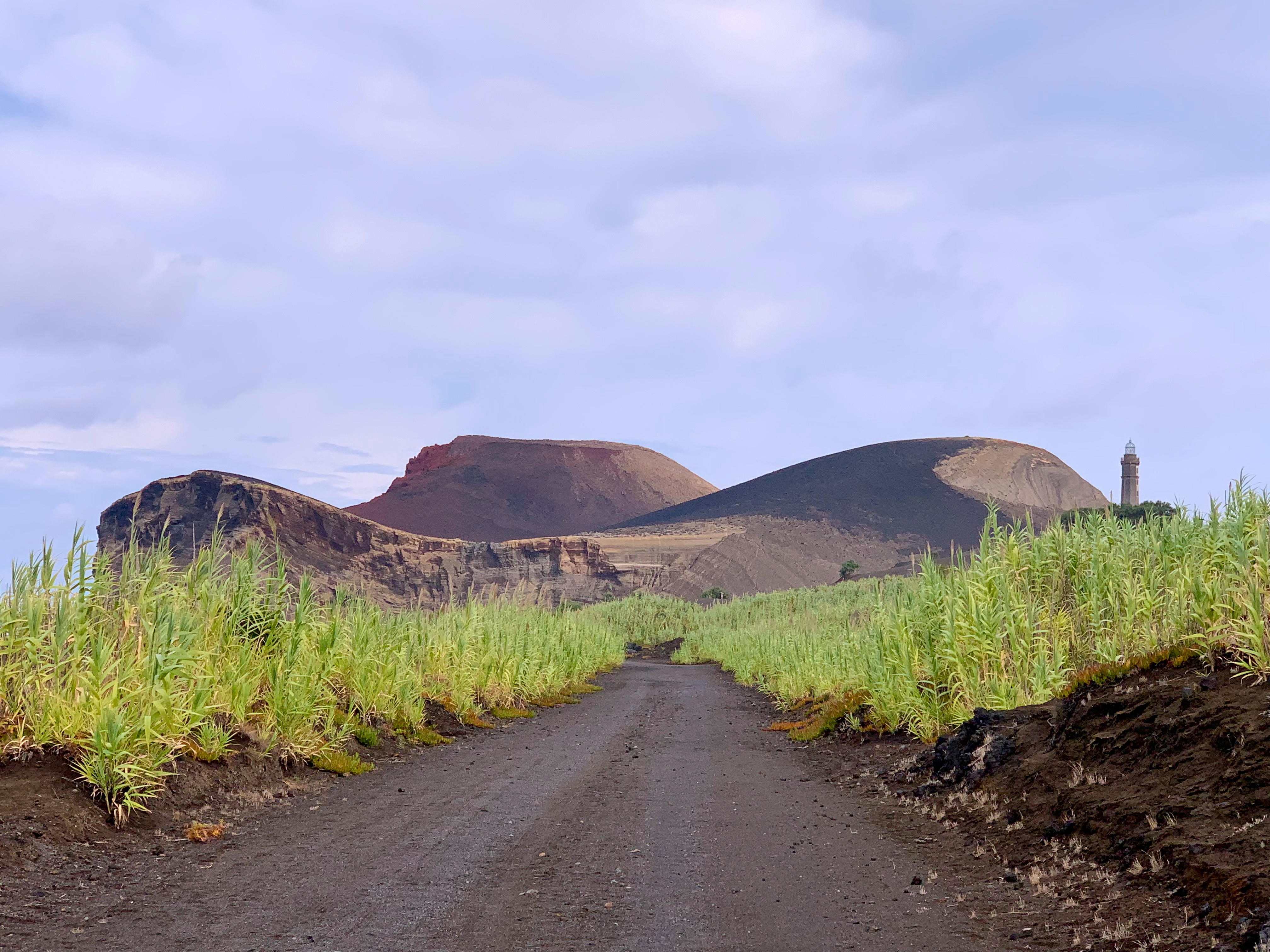 1331 - Vulcano Capelinhos nell'isola di Faial - Azzorre 