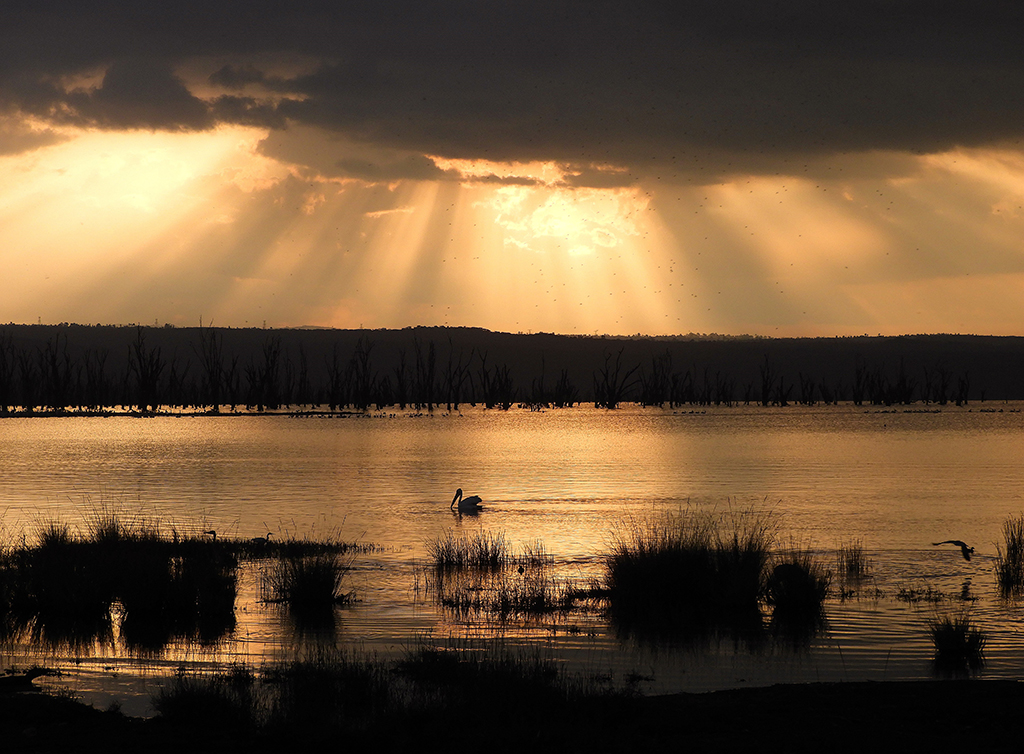 19 - Tramonto nel Parco Nazionale del lago Nakuru - Kenya