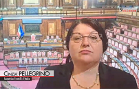 Premierato, Pellegrino (FdI): opposizioni lascino turpiloquio e riprendano via confronto