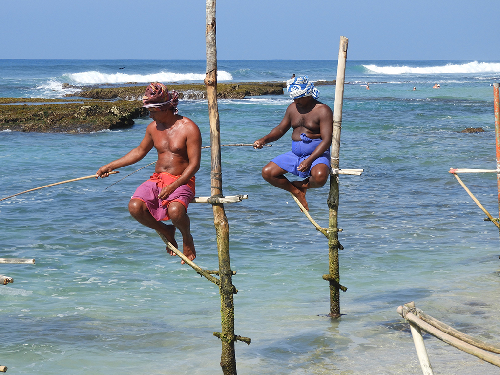 Pescatori sui pali a Mirissa - Sri Lanka
