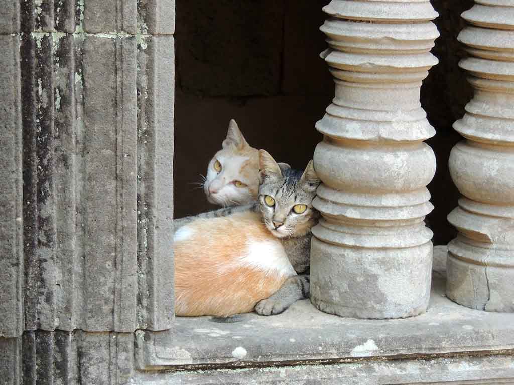 870 - Abitanti del tempio Banteay Samre a Angkor Wat