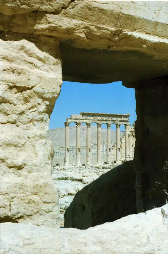1144 - Palmira prima della sua distruzione - Siria