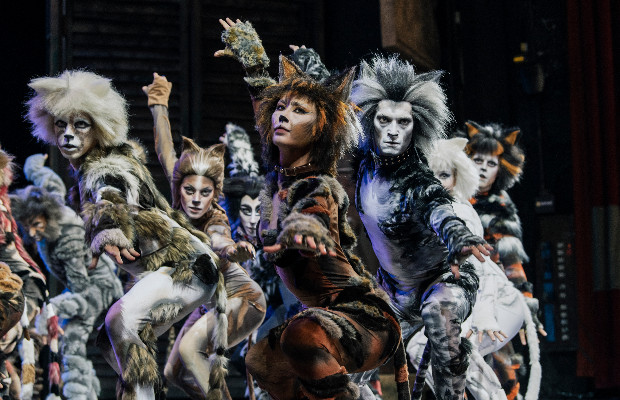 MUSICAL, CATS <BR> RIPARTE DA FIRENZE